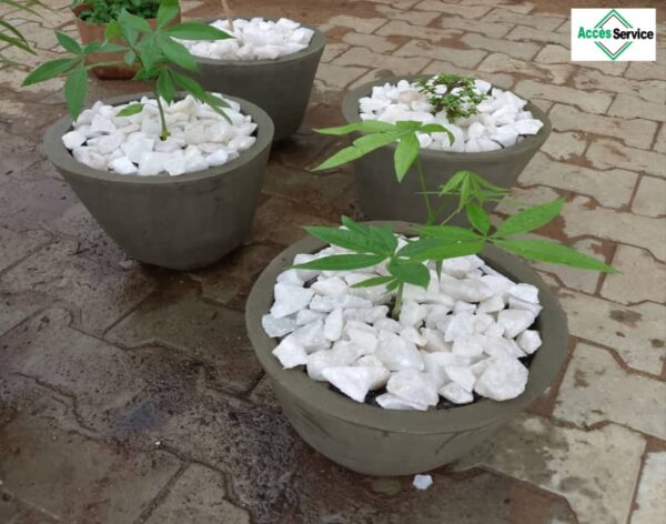 Les Pierres Blanches du Bénin