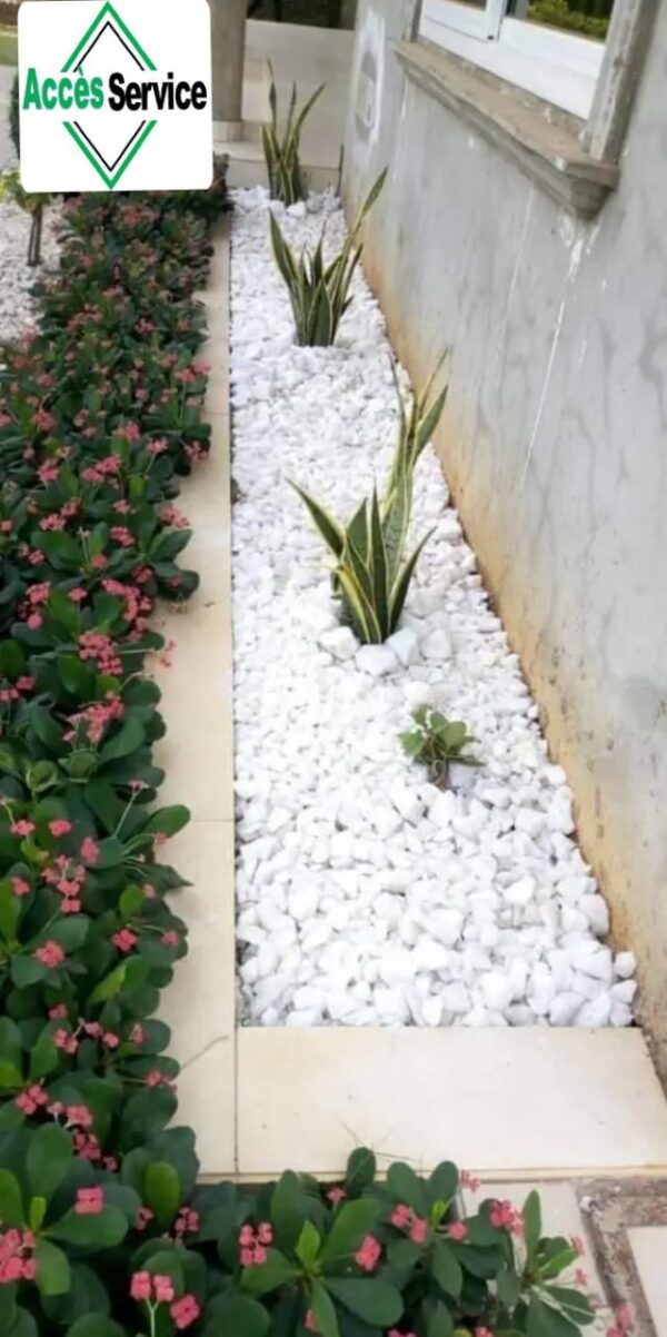 Les Pierres Blanches du Bénin