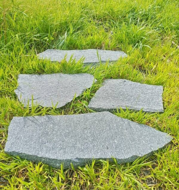 Les granites ornementaux (Gneiss)