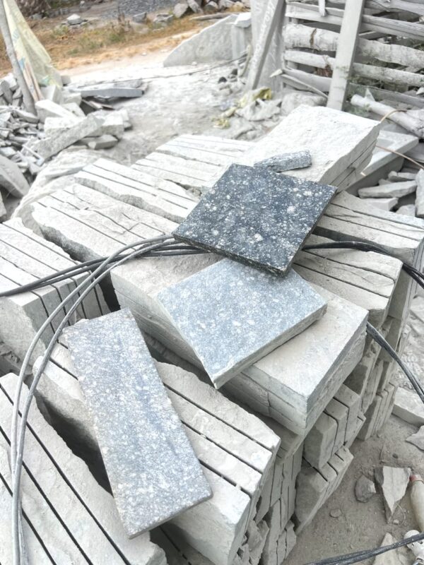 Les granites ornementaux (Gneiss)